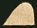 Balsa Conventional Leading Edges